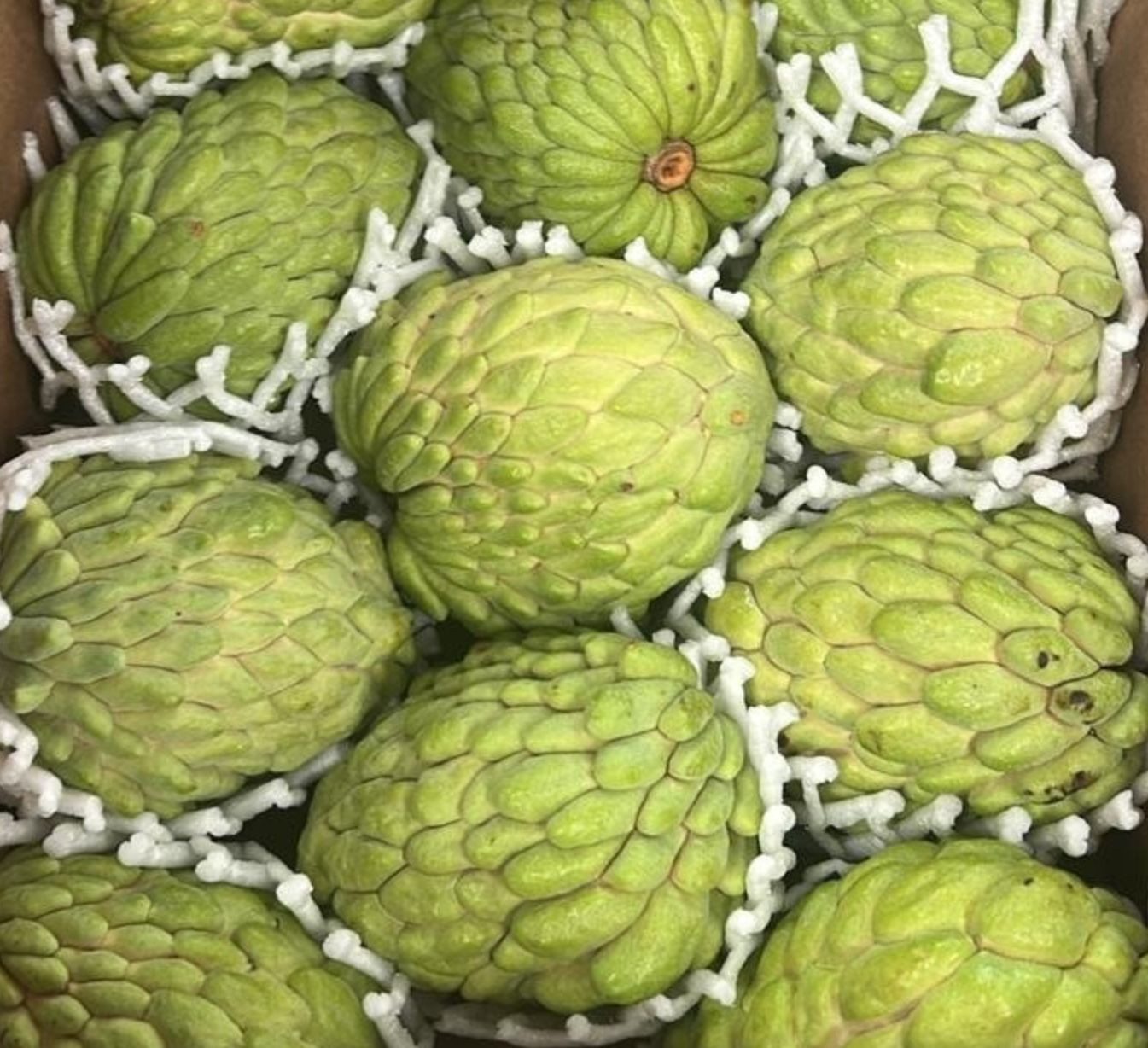 Premium Atemoya Tropical Fruit Rich in Vitamins and Antioxidants