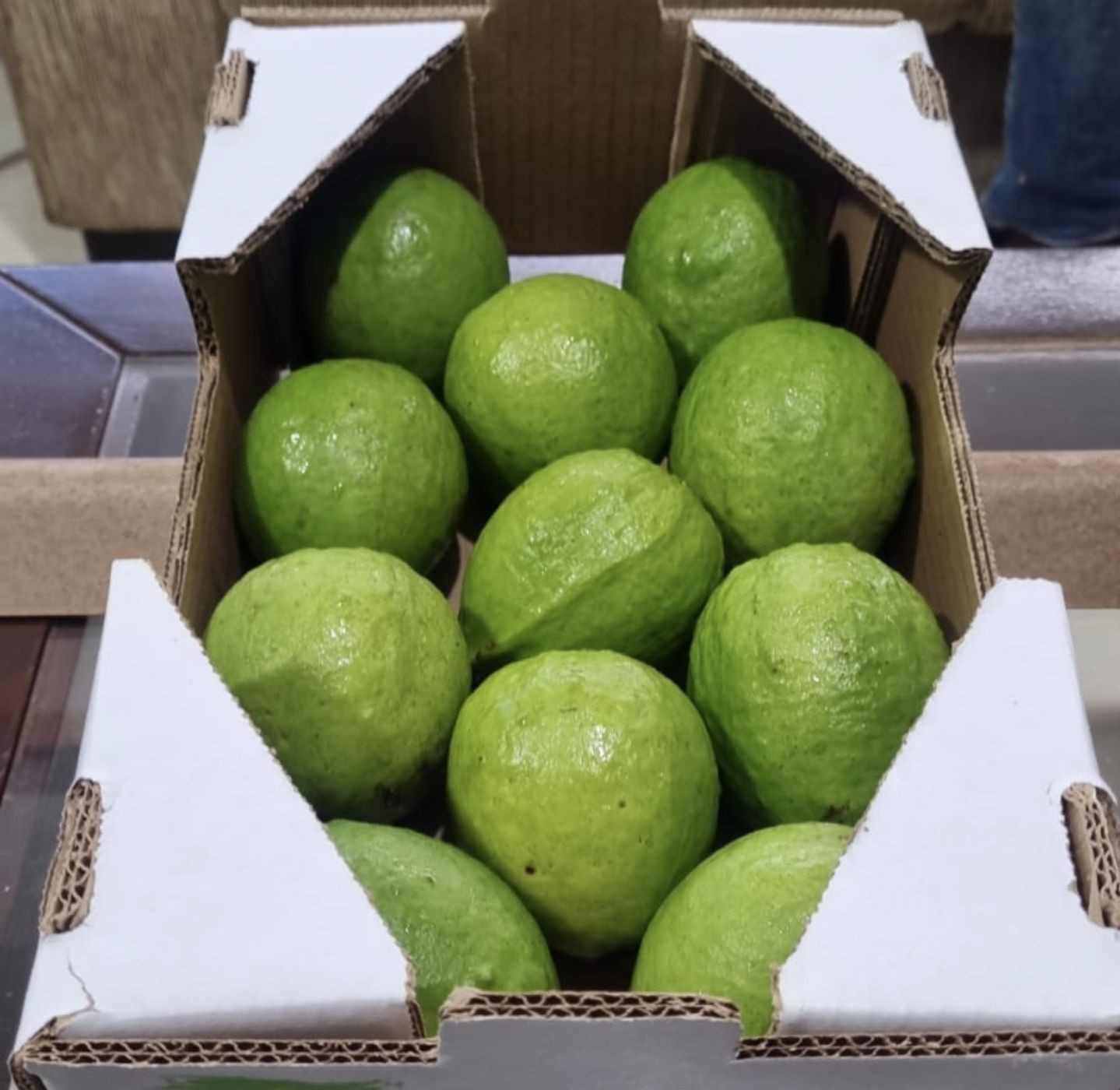 Fresh Guava Premium Quality Farm Fresh Guava Fruit