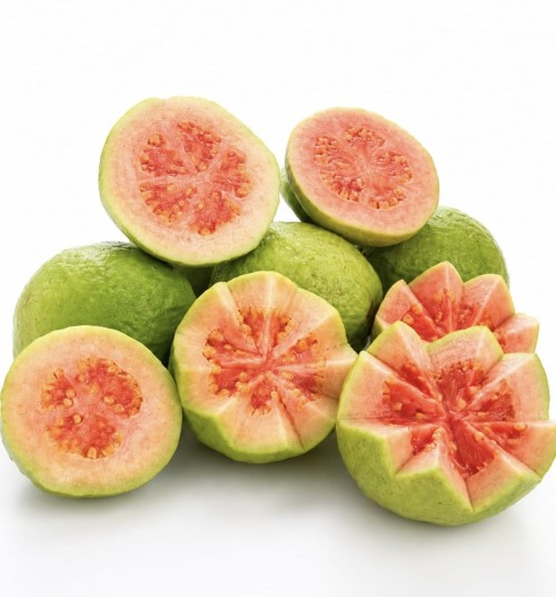Fresh Guava Premium Quality Farm Fresh Guava Fruit