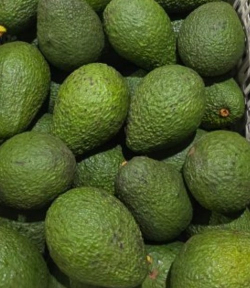 Premium Ripe Avocado Hams Rich in Healthy Fats and Nutrients