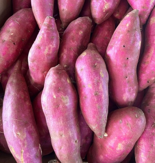 Sweet Potatoes Rich in Nutrients and Full of Flavor
