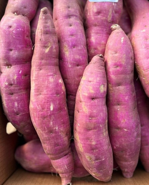 Sweet Potatoes Rich in Nutrients and Full of Flavor